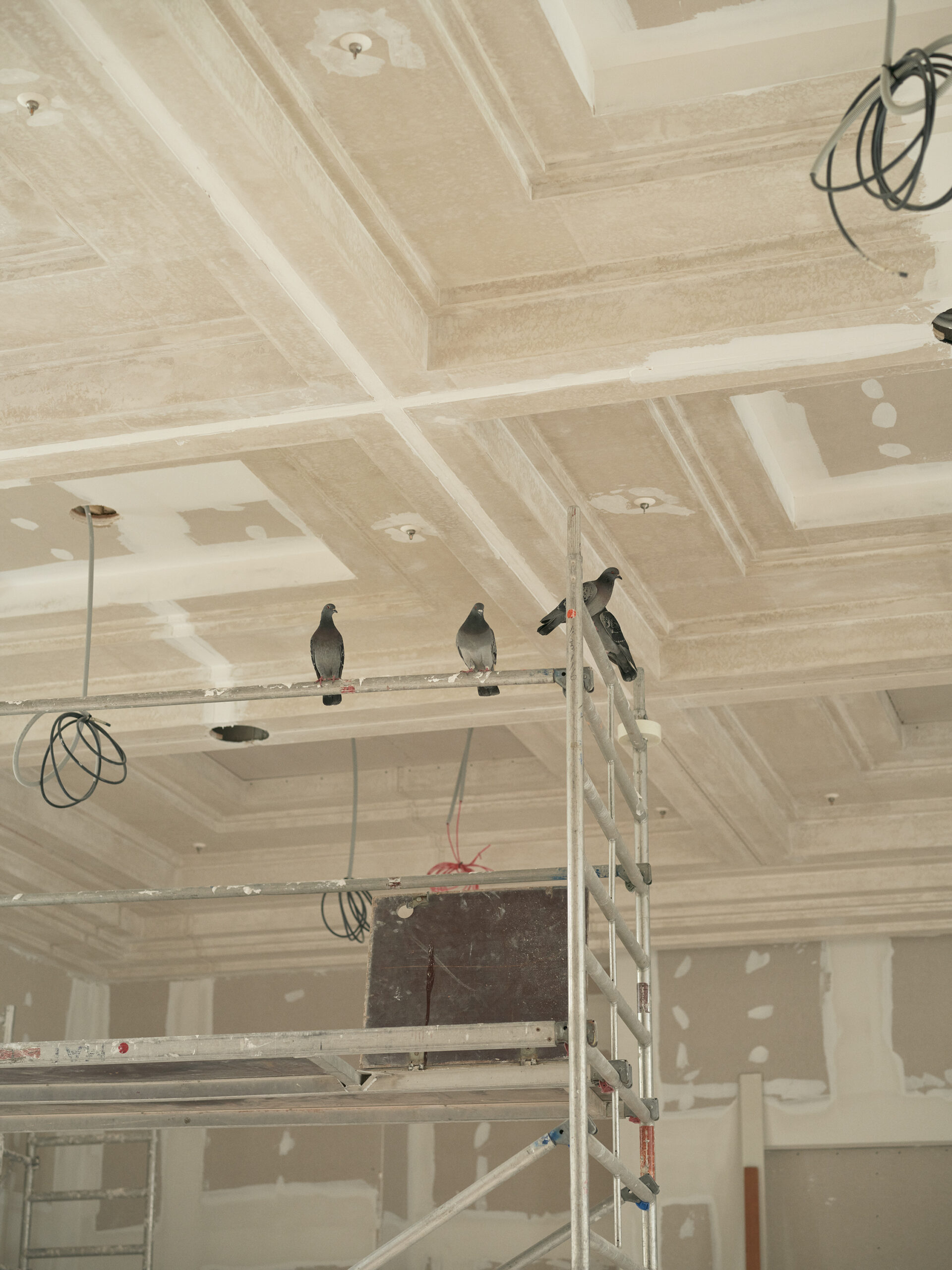 2023_Staat_Rosewood_004_001