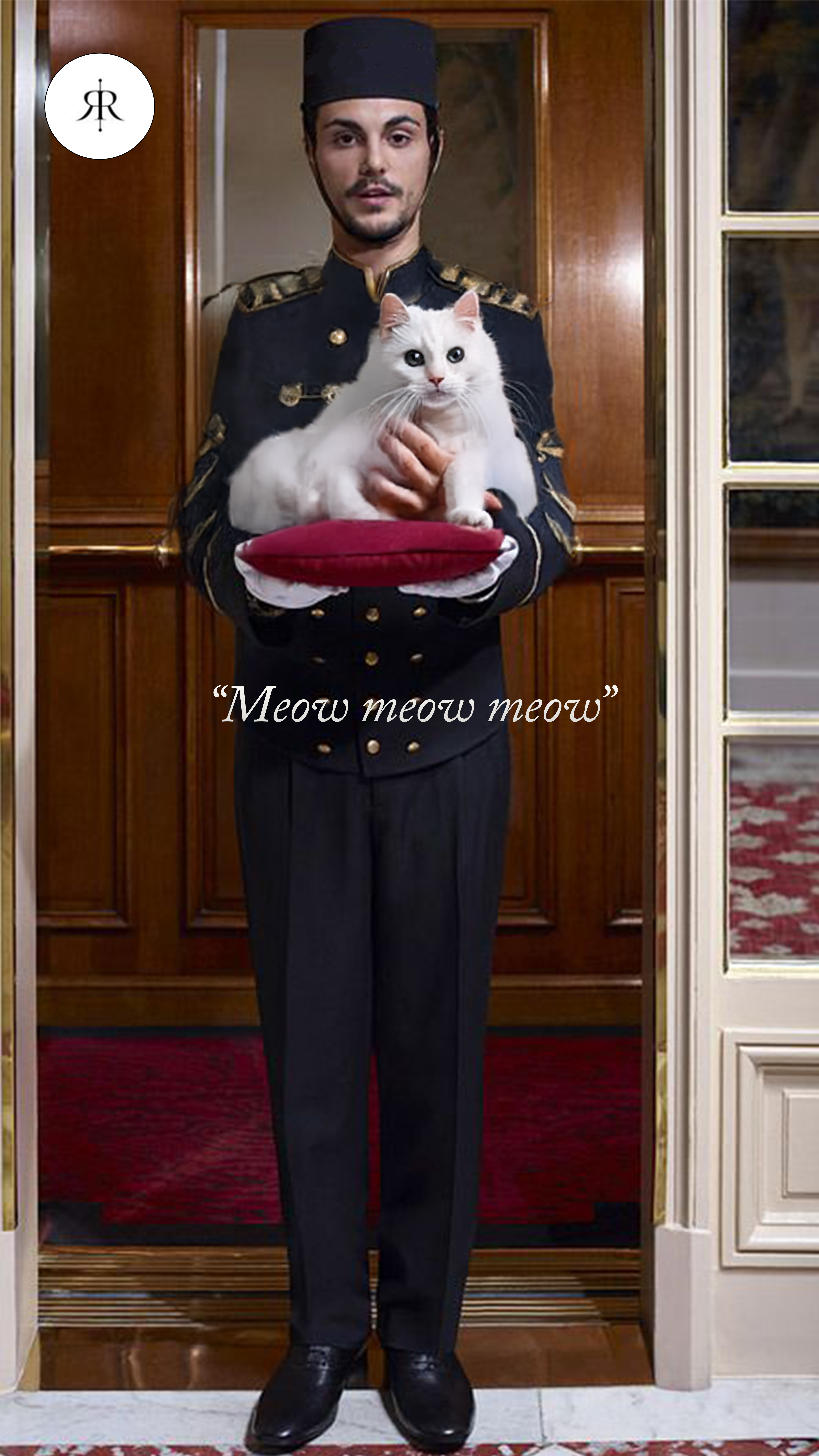 cat_